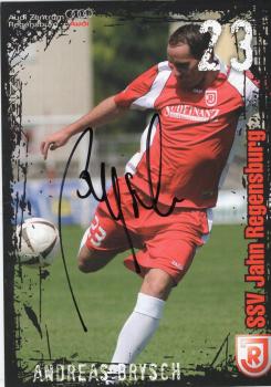 Brysch, Andreas - Jahn Regensburg (2008/09)