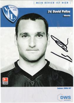 Pallas, David - VFL Bochum (2006/07)
