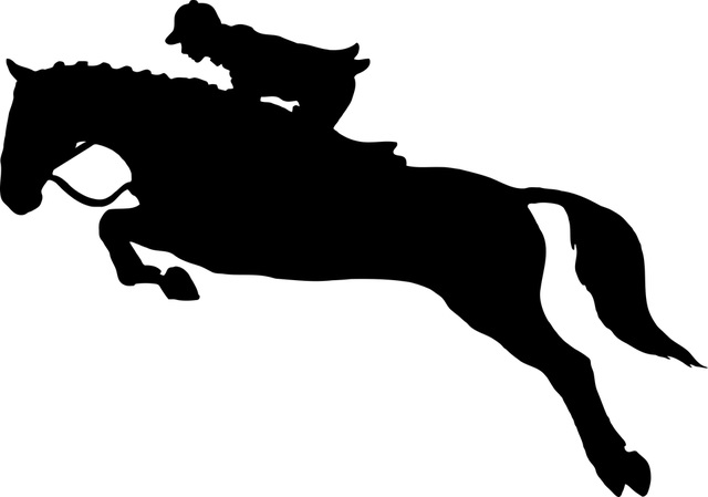 REITEN