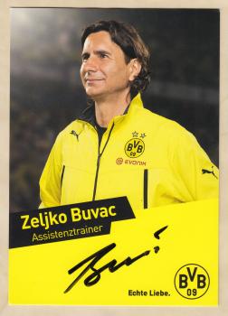 Buvac, Zeljko - Borussia Dortmund (2013/14)