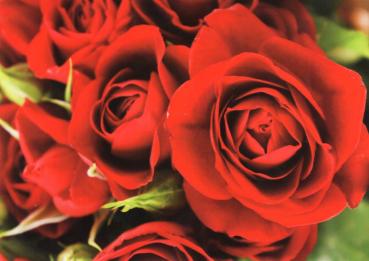 Preview: Dahl (S), Arne