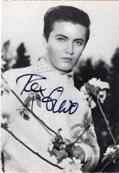 Gildo (†), Rex