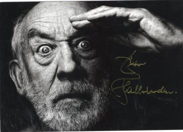 Hallervorden, Dieter