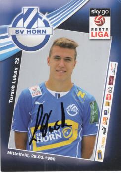 Lukas, Tursch - SV Horn