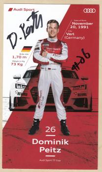 Peitz, Dominik - Audi