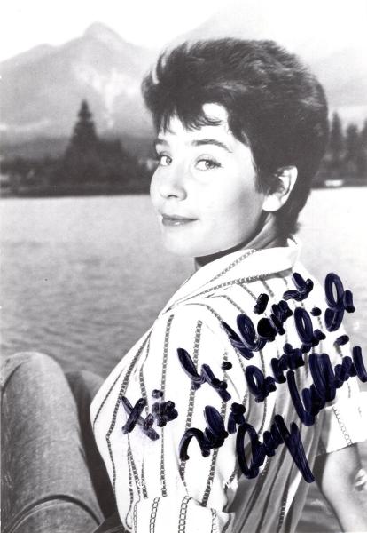 Collins, Corny