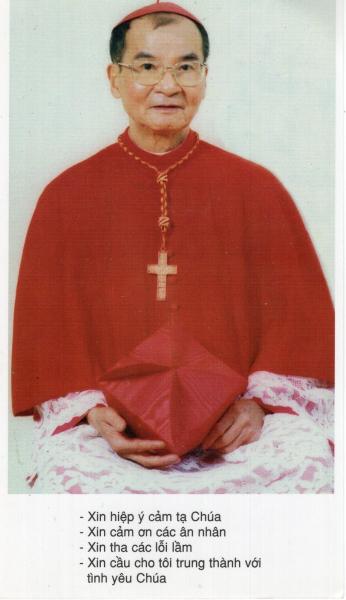 Pham Dinh Tung, Kardinal