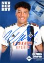 David, Jonas - Hamburger SV (2019/20)
