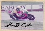 Eckl, Harald