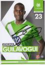 Guilavogui, Josuha - VFL Wolfsburg (2014/15)
