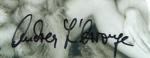L`Arronge, Andrea