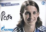 Stevanovic, Predrag - FC Schalke 04 (2009/10)
